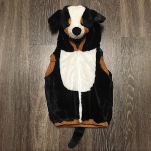 SOLD! Great Swiss Mountain Dog baby  costume